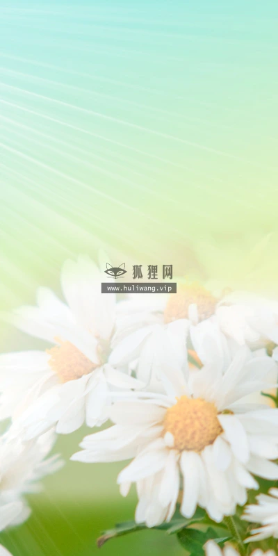 【13792】植物壁纸  2K 高清壁纸2560_1600@青蛙壁纸-笨猫小站
