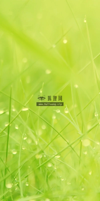 【13804】植物壁纸  2K 高清壁纸2560_1600@青蛙壁纸-笨猫小站