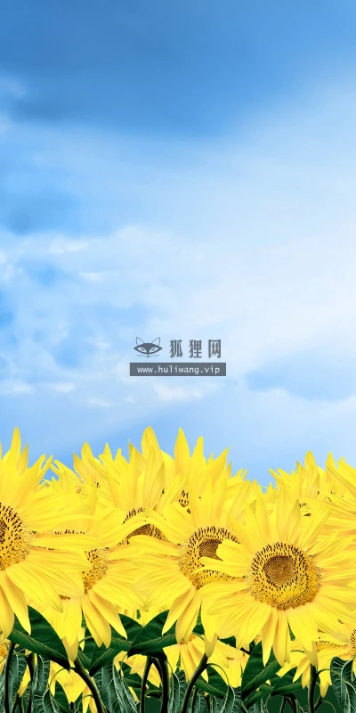 【13817】植物壁纸  2K 高清壁纸2560_1600@青蛙壁纸-笨猫小站