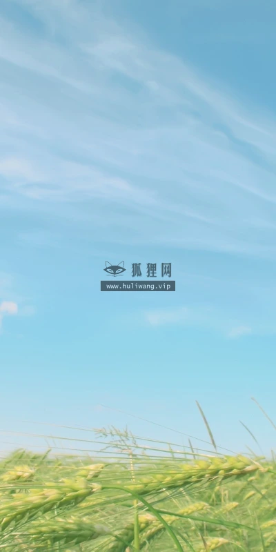 【13819】植物壁纸  2K 高清壁纸2560_1600@青蛙壁纸-笨猫小站