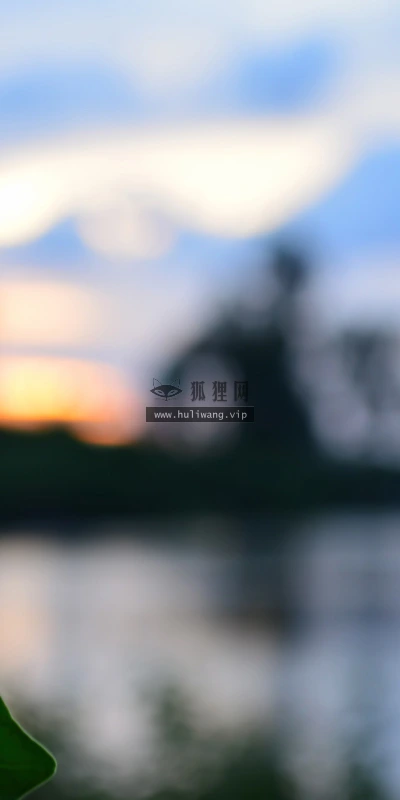 【13829】植物壁纸  2K 高清壁纸2560_1600@青蛙壁纸-笨猫小站