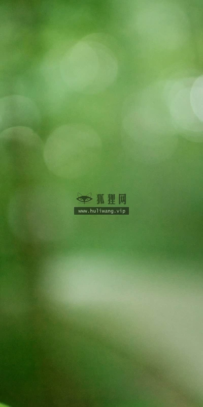 【13830】植物壁纸  2K 高清壁纸2560_1600@青蛙壁纸-笨猫小站