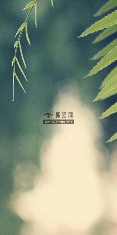 【13883】植物壁纸  2K 高清壁纸2560_1600@青蛙壁纸-笨猫小站