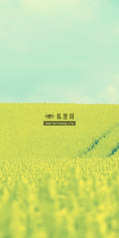 【13886】植物壁纸  2K 高清壁纸2560_1600@青蛙壁纸-笨猫小站