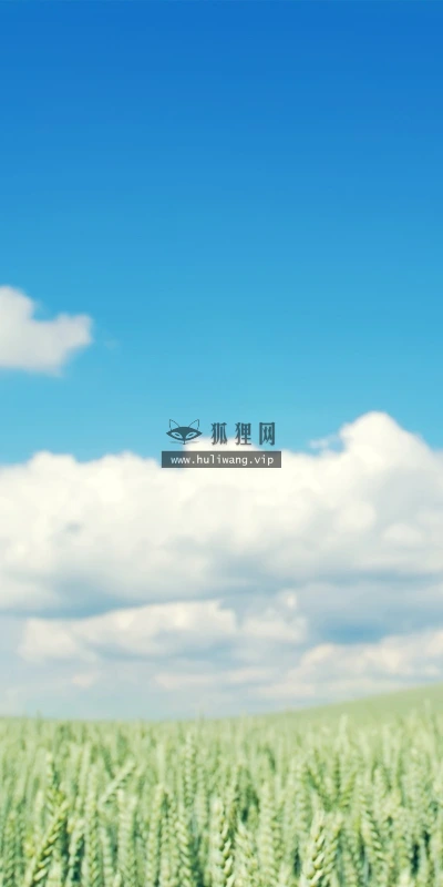【13953】植物壁纸  2K 高清壁纸2560_1600@青蛙壁纸-笨猫小站
