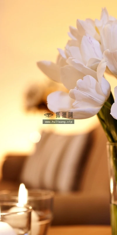 【14059】植物壁纸  2K 高清壁纸2560_1600@青蛙壁纸-笨猫小站