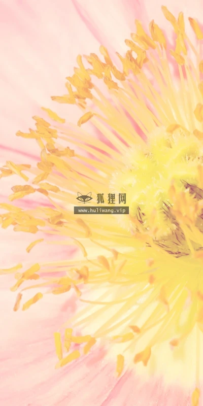 【14119】植物壁纸 2K 高清壁纸2560_1600@青蛙壁纸-笨猫小站