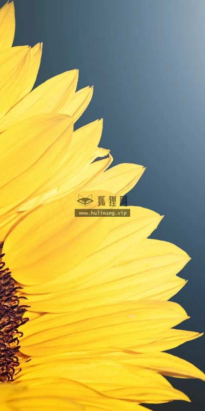 【14130】植物壁纸  2K 高清壁纸2560_1600@青蛙壁纸-笨猫小站