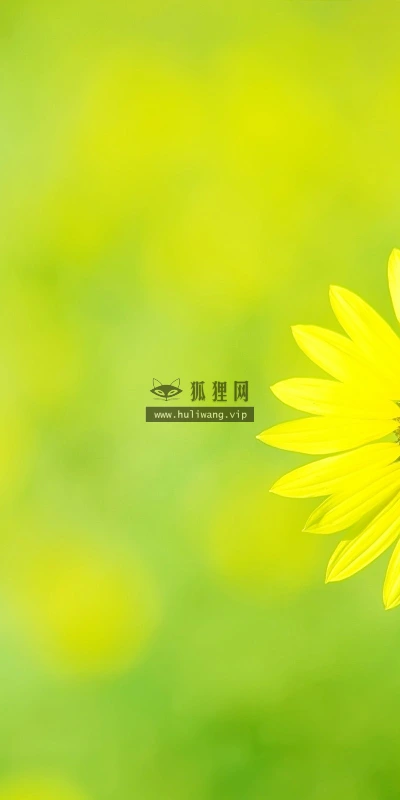 【14145】植物壁纸  2K 高清壁纸2560_1600@青蛙壁纸-笨猫小站