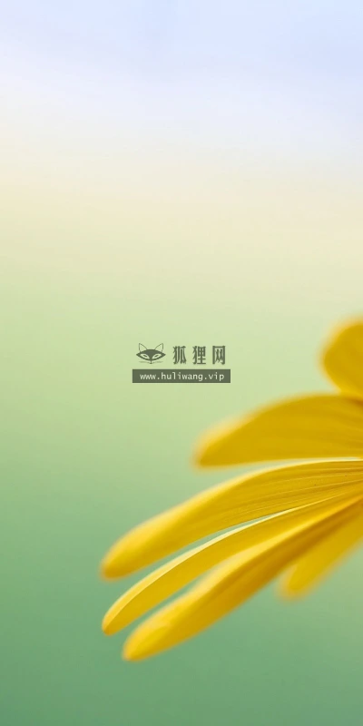 【14146】植物壁纸  2K 高清壁纸2560_1600@青蛙壁纸-笨猫小站