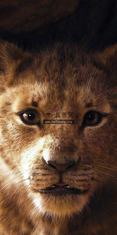 【15869】影视壁纸  4K 超清壁纸3840_2400@青蛙壁纸-笨猫小站