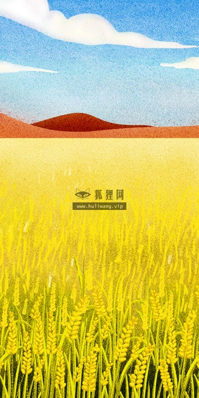 【16472】创意壁纸  2K 高清壁纸2880_1800@青蛙壁纸-笨猫小站