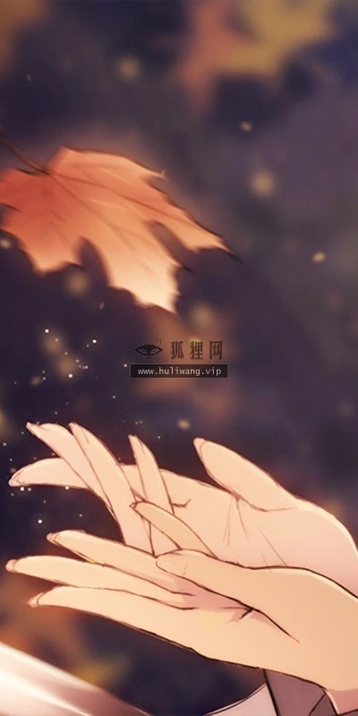【16522】创意壁纸  2K 高清壁纸2880_1800@青蛙壁纸-笨猫小站