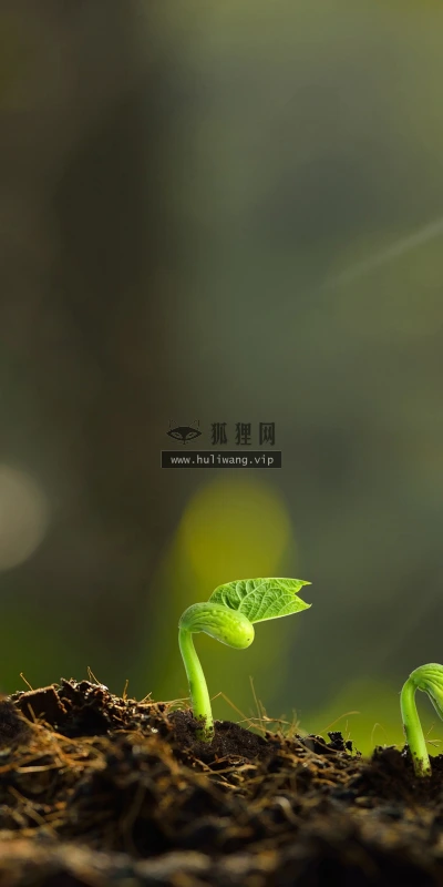 【16532】创意壁纸  2K 高清壁纸2880_1800@青蛙壁纸-笨猫小站