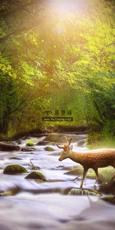 【16538】创意壁纸  2K 高清壁纸2880_1800@青蛙壁纸-笨猫小站