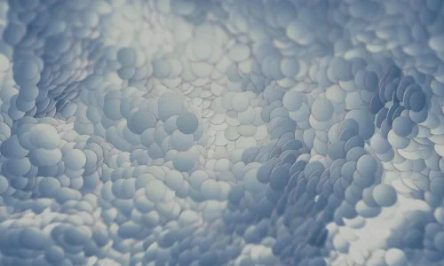 【16613】创意壁纸  2K 高清壁纸2560_1600@青蛙壁纸-笨猫小站