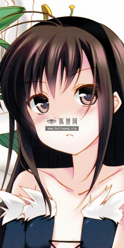 【16682】创意壁纸  2K 高清壁纸2560_1600@青蛙壁纸-笨猫小站