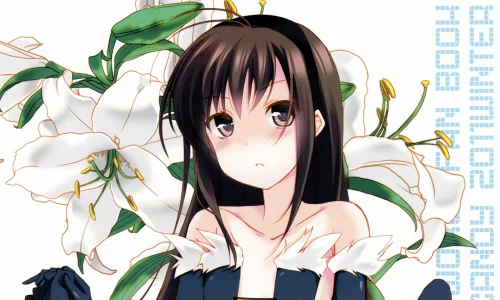 【16682】创意壁纸  2K 高清壁纸2560_1600@青蛙壁纸-笨猫小站
