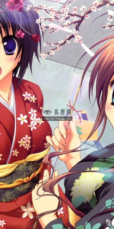 【16690】创意壁纸  2K 高清壁纸2560_1600@青蛙壁纸-笨猫小站