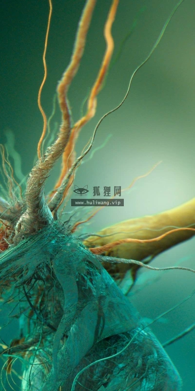 【16790】创意壁纸  2K 高清壁纸2560_1600@青蛙壁纸-笨猫小站