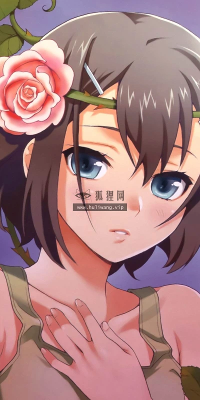 【16806】创意壁纸  2K 高清壁纸2560_1600@青蛙壁纸-笨猫小站