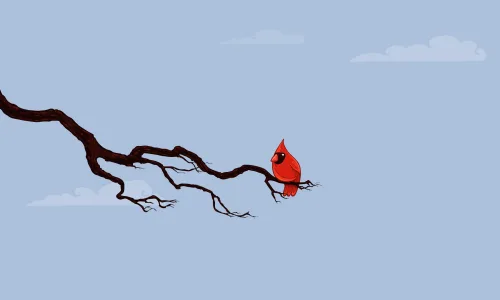 【16812】创意壁纸  2K 高清壁纸2560_1600@青蛙壁纸-笨猫小站