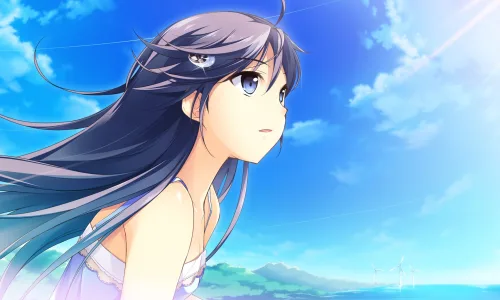 【16817】创意壁纸  2K 高清壁纸2560_1600@青蛙壁纸-笨猫小站