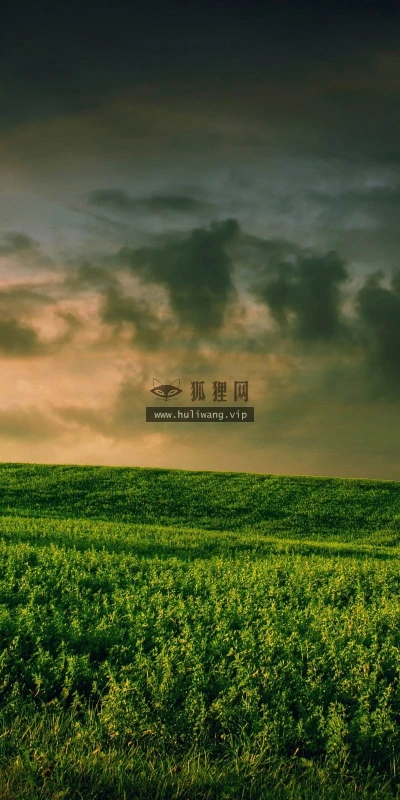 【16828】创意壁纸  2K 高清壁纸2560_1600@青蛙壁纸-笨猫小站