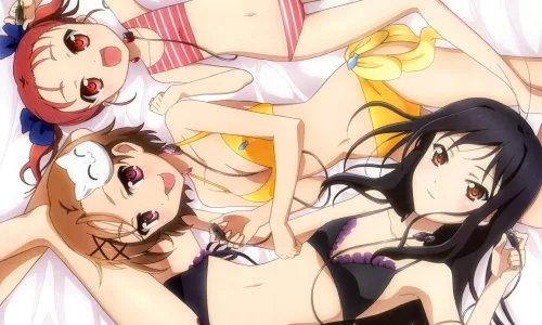 【16840】创意壁纸  2K 高清壁纸2560_1600@青蛙壁纸-笨猫小站
