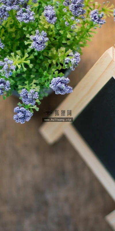 【16852】创意壁纸  2K 高清壁纸2560_1600@青蛙壁纸-笨猫小站