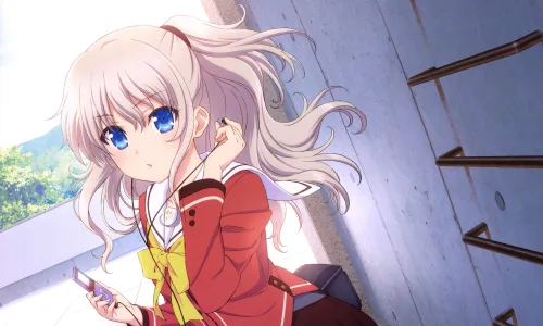 【16943】创意壁纸  2K 高清壁纸2560_1600@青蛙壁纸-笨猫小站