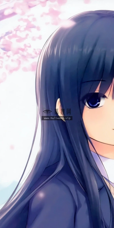 【16965】创意壁纸  2K 高清壁纸2560_1600@青蛙壁纸-笨猫小站