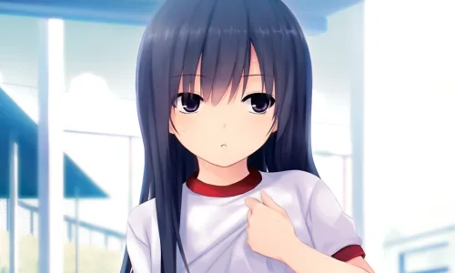 【16980】创意壁纸  2K 高清壁纸2560_1600@青蛙壁纸-笨猫小站
