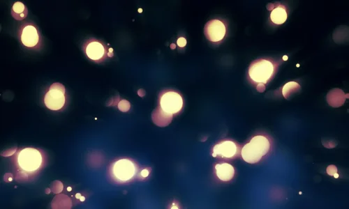 【16986】创意壁纸  2K 高清壁纸2560_1600@青蛙壁纸-笨猫小站