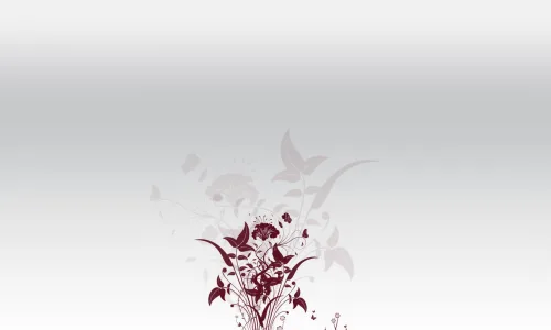 【17088】创意壁纸  2K 高清壁纸2560_1600@青蛙壁纸-笨猫小站
