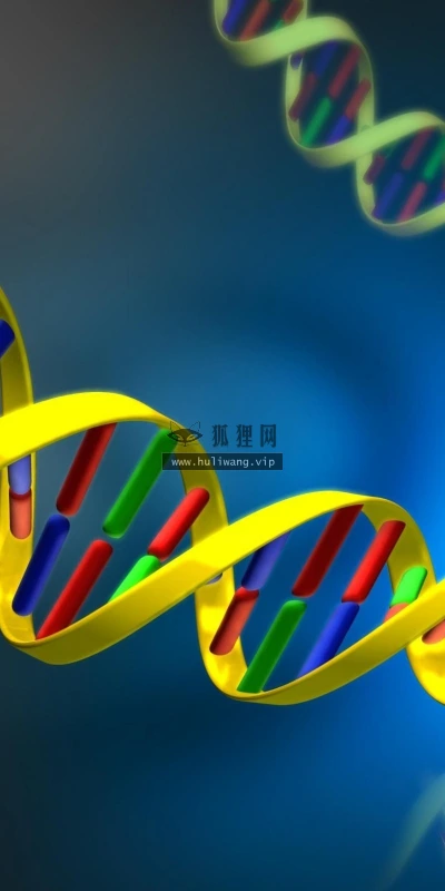 【17123】创意壁纸  2K 高清壁纸2560_1600@青蛙壁纸-笨猫小站