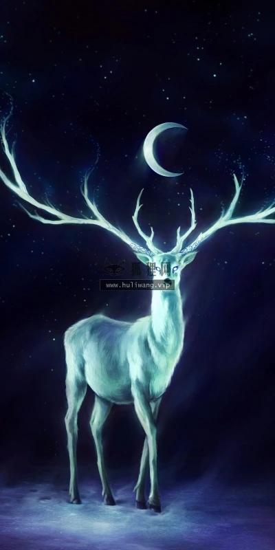 【17137】创意壁纸  2K 高清壁纸2560_1600@青蛙壁纸-笨猫小站