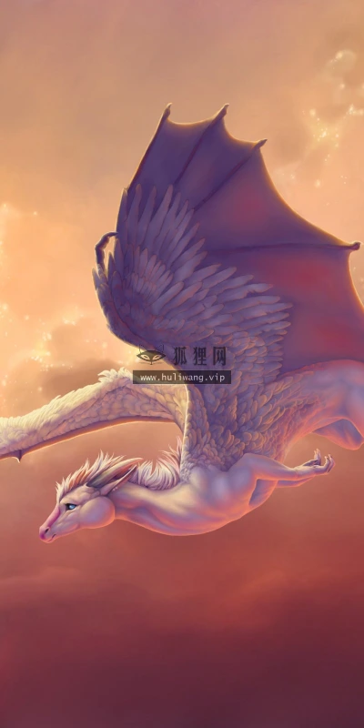 【17163】创意壁纸  2K 高清壁纸2560_1600@青蛙壁纸-笨猫小站