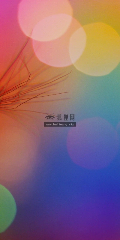 【17170】创意壁纸  2K 高清壁纸2560_1600@青蛙壁纸-笨猫小站