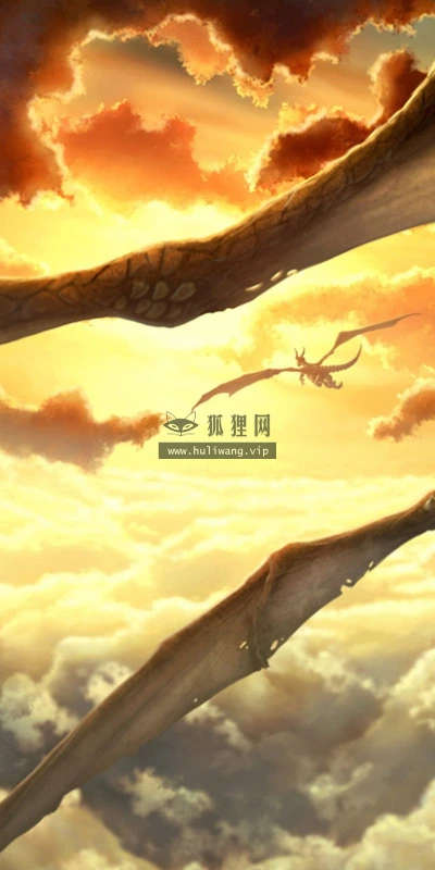【17171】创意壁纸  2K 高清壁纸2560_1600@青蛙壁纸-笨猫小站