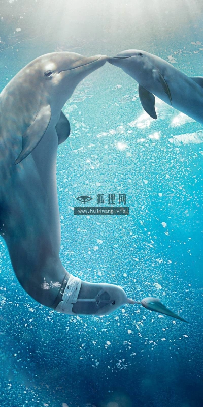【17401】影视壁纸  2K 高清壁纸2560_1600@青蛙壁纸-笨猫小站
