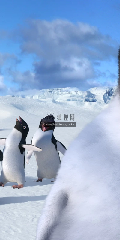【17535】壁纸  2K 高清壁纸2560_1600@青蛙壁纸-笨猫小站