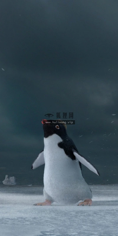【17556】壁纸  2K 高清壁纸2560_1600@青蛙壁纸-笨猫小站