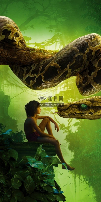 【17669】影视壁纸  2K 高清壁纸2560_1600@青蛙壁纸-笨猫小站
