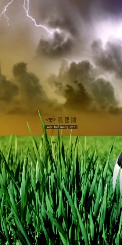 【18634】体育壁纸  2K 高清壁纸2560_1600@青蛙壁纸-笨猫小站