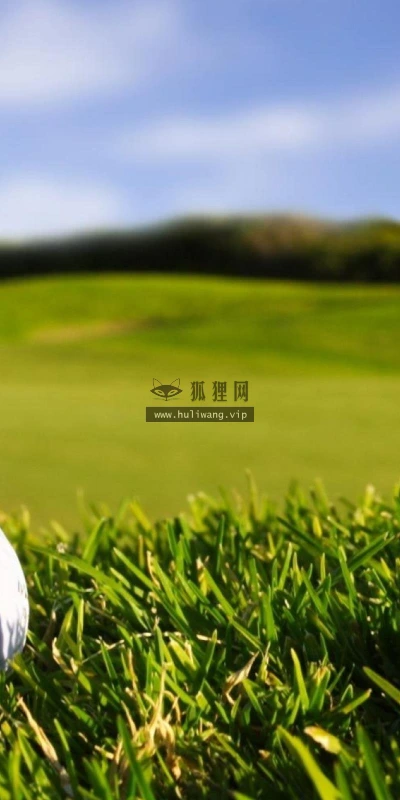 【18854】壁纸  2K 高清壁纸2560_1600@青蛙壁纸-笨猫小站