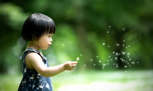 【20454】人物壁纸  2K 高清壁纸2560_1600@青蛙壁纸-笨猫小站