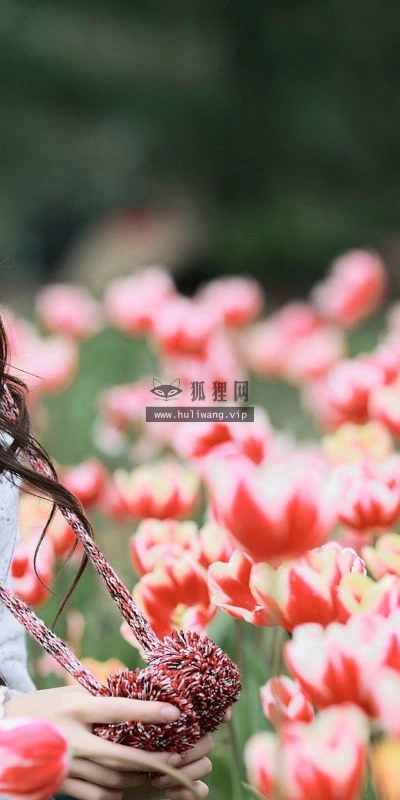 【21266】人物壁纸  2K 高清壁纸2560_1600@青蛙壁纸-笨猫小站