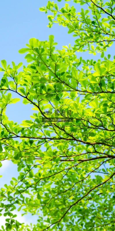 【22267】风景壁纸  4K 超清壁纸5120_3200@青蛙壁纸-笨猫小站
