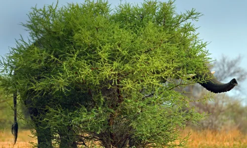 【22298】风景壁纸  4K 超清壁纸5120_3200@青蛙壁纸-笨猫小站